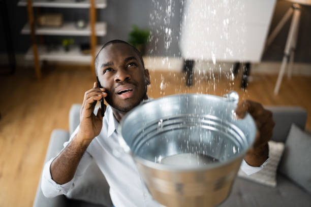 Best Carpet water damage restoration  in Dora, AL