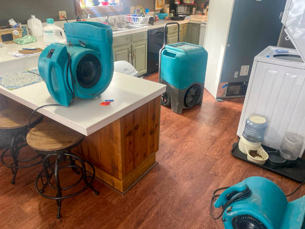 Best Water damage restoration near me  in Dora, AL