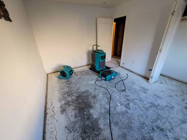 Reliable Dora, AL Water damage restoration Solutions