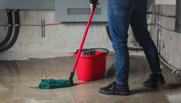  Dora, AL Water damage restoration Pros
