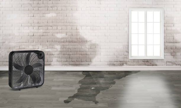 Best Commercial water damage restoration  in Dora, AL