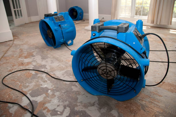 Best 24-hour water damage restoration  in Dora, AL