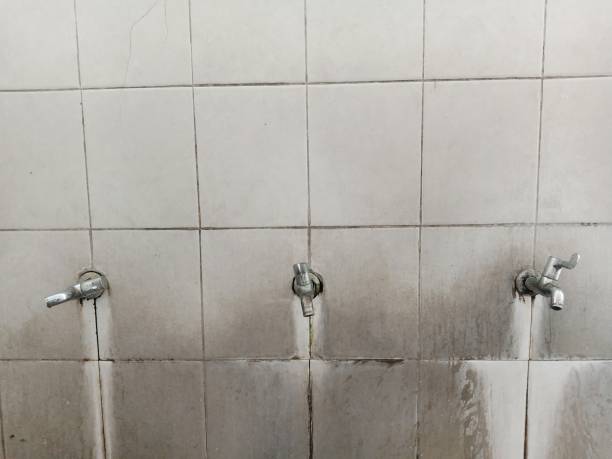 Best Emergency water extraction  in Dora, AL