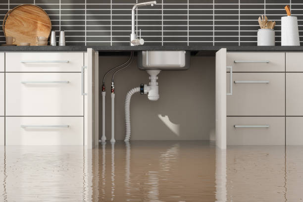 Best Mold removal after water damage  in Dora, AL